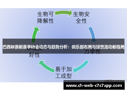 巴西联赛新赛季转会动态与趋势分析：俱乐部布局与球员流动新格局