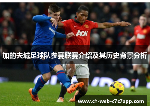 加的夫城足球队参赛联赛介绍及其历史背景分析