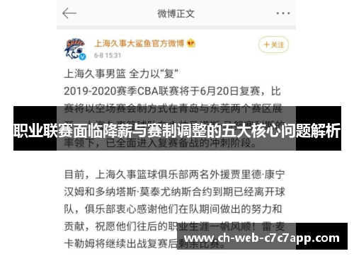 职业联赛面临降薪与赛制调整的五大核心问题解析