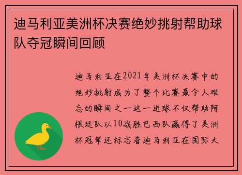 迪马利亚美洲杯决赛绝妙挑射帮助球队夺冠瞬间回顾